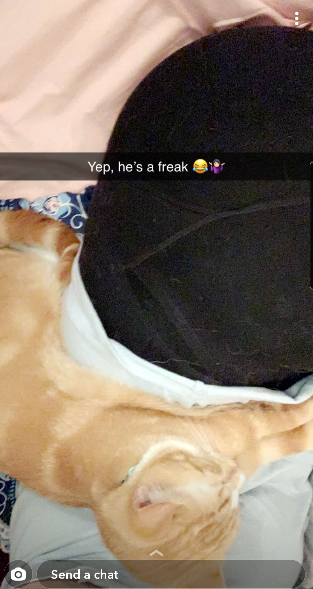 Phay from spokane washington