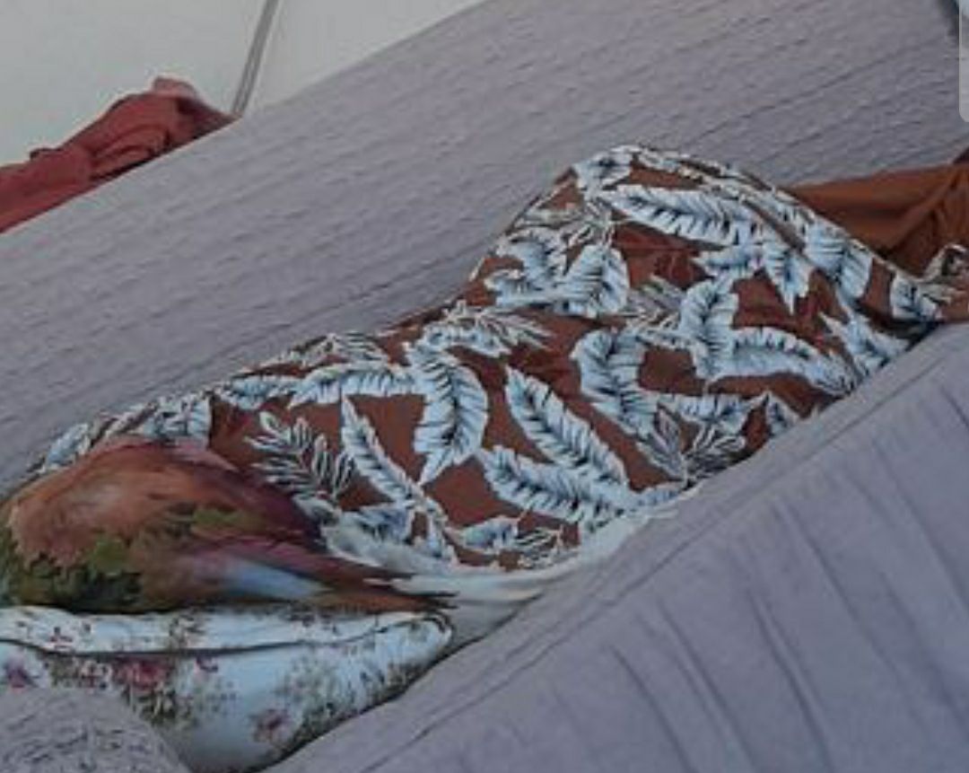 Turkish Slut Womans 70 arsivizm gallery