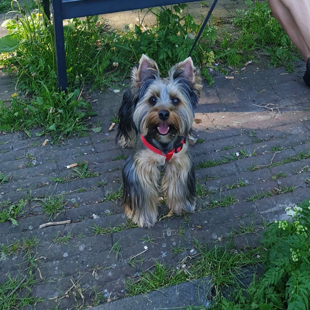 instagram _alice_rubi_ arsivizm gallery