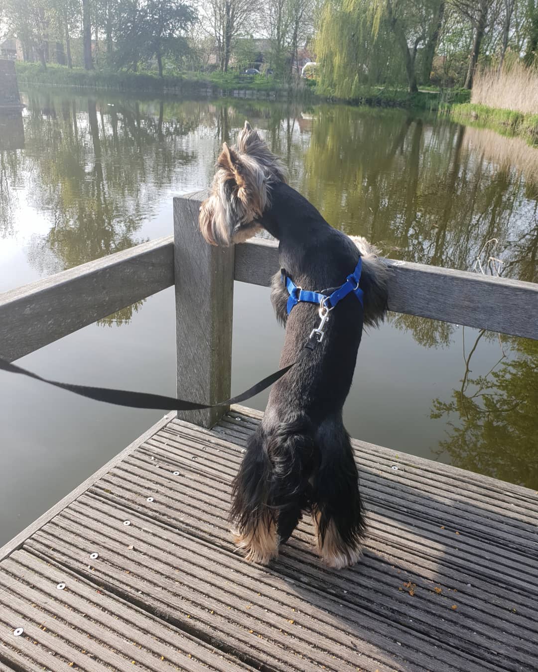 instagram _alice_rubi_ arsivizm gallery