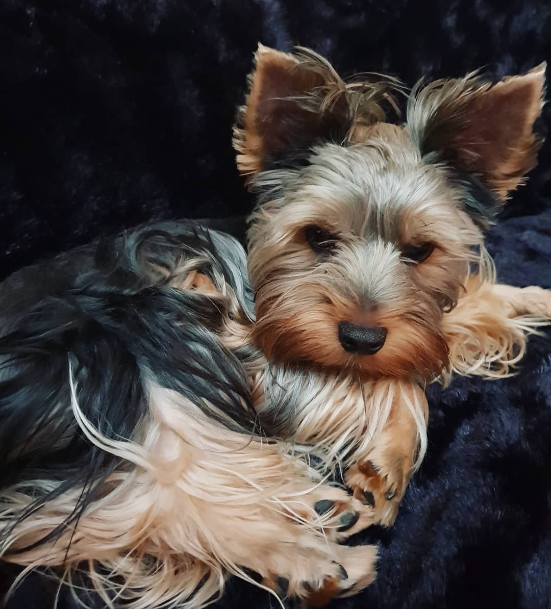 instagram _alice_rubi_ arsivizm gallery