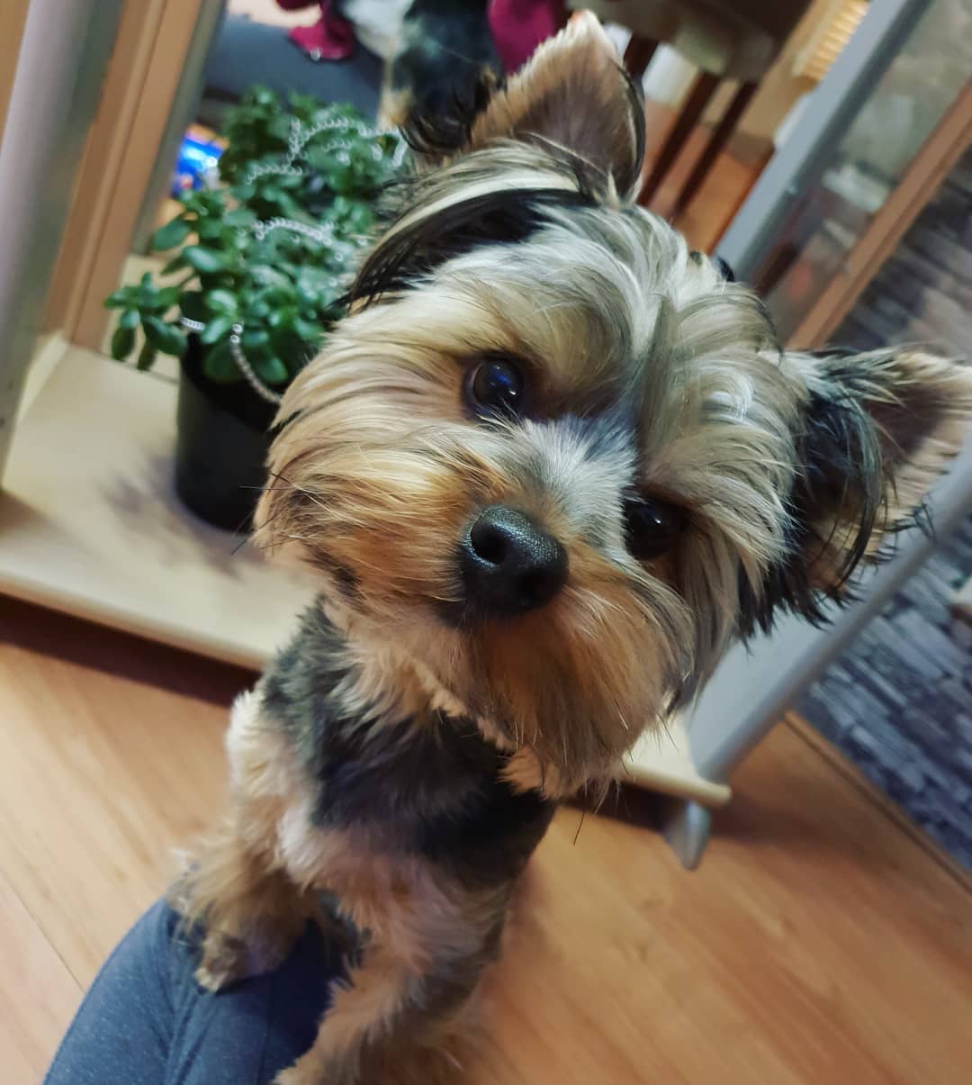 instagram _alice_rubi_ arsivizm gallery