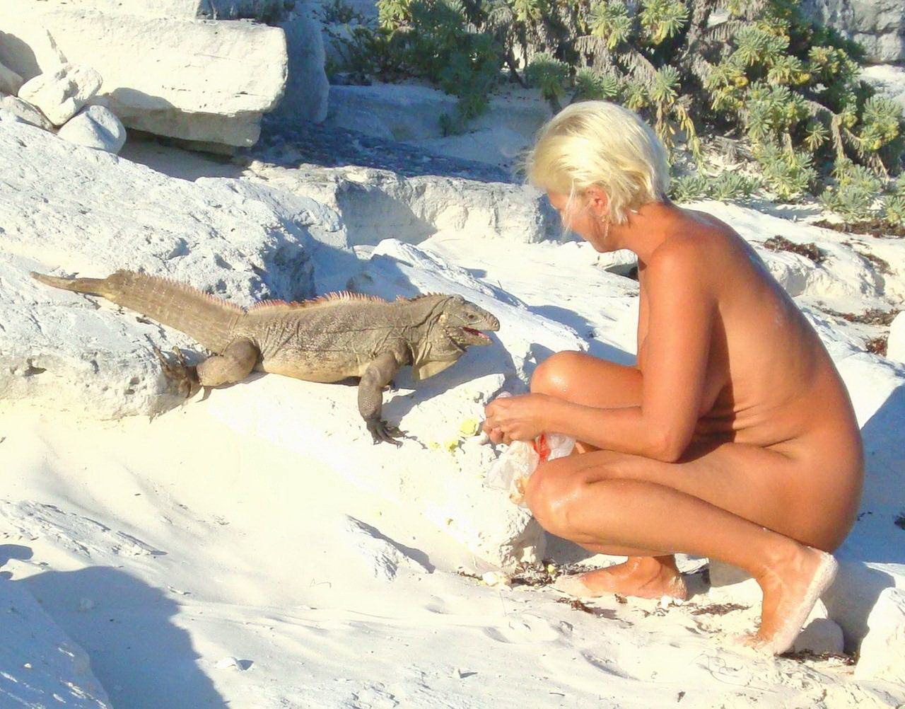 MILF Trio Last Hurrah #2