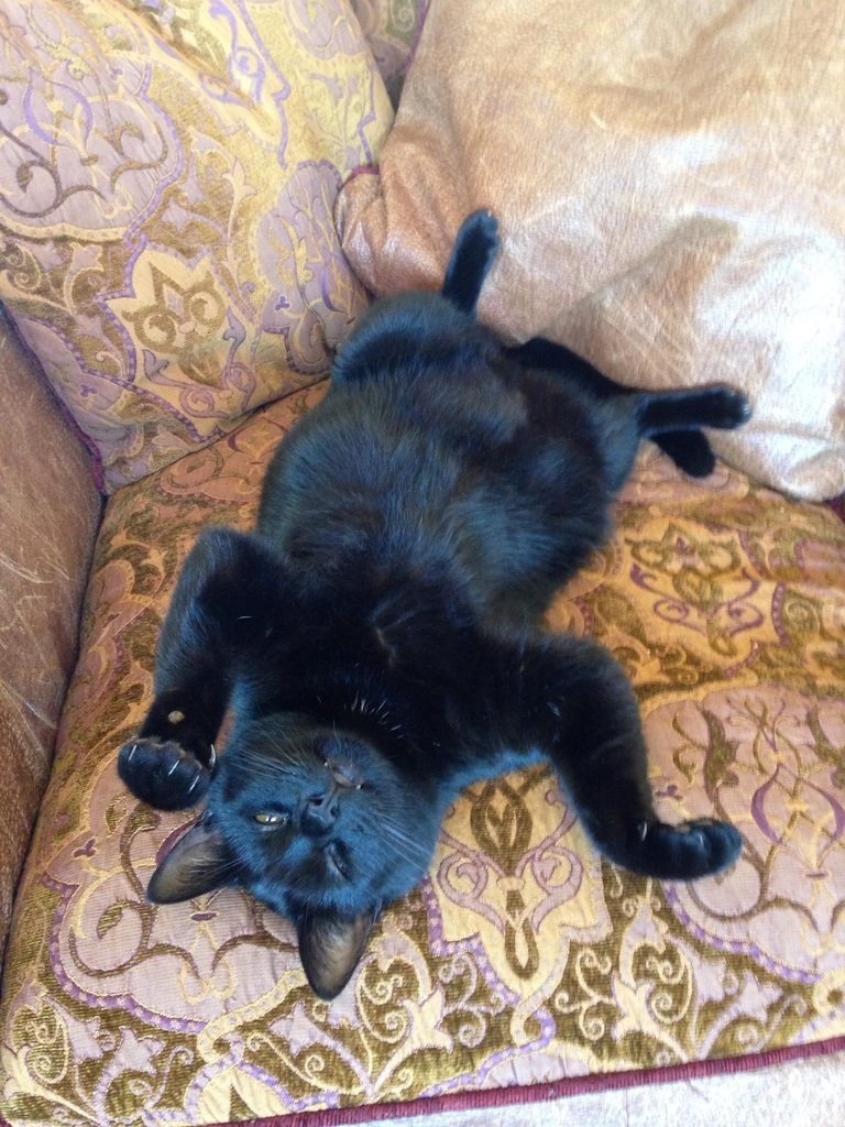 Sexually Active Nursing Teacher