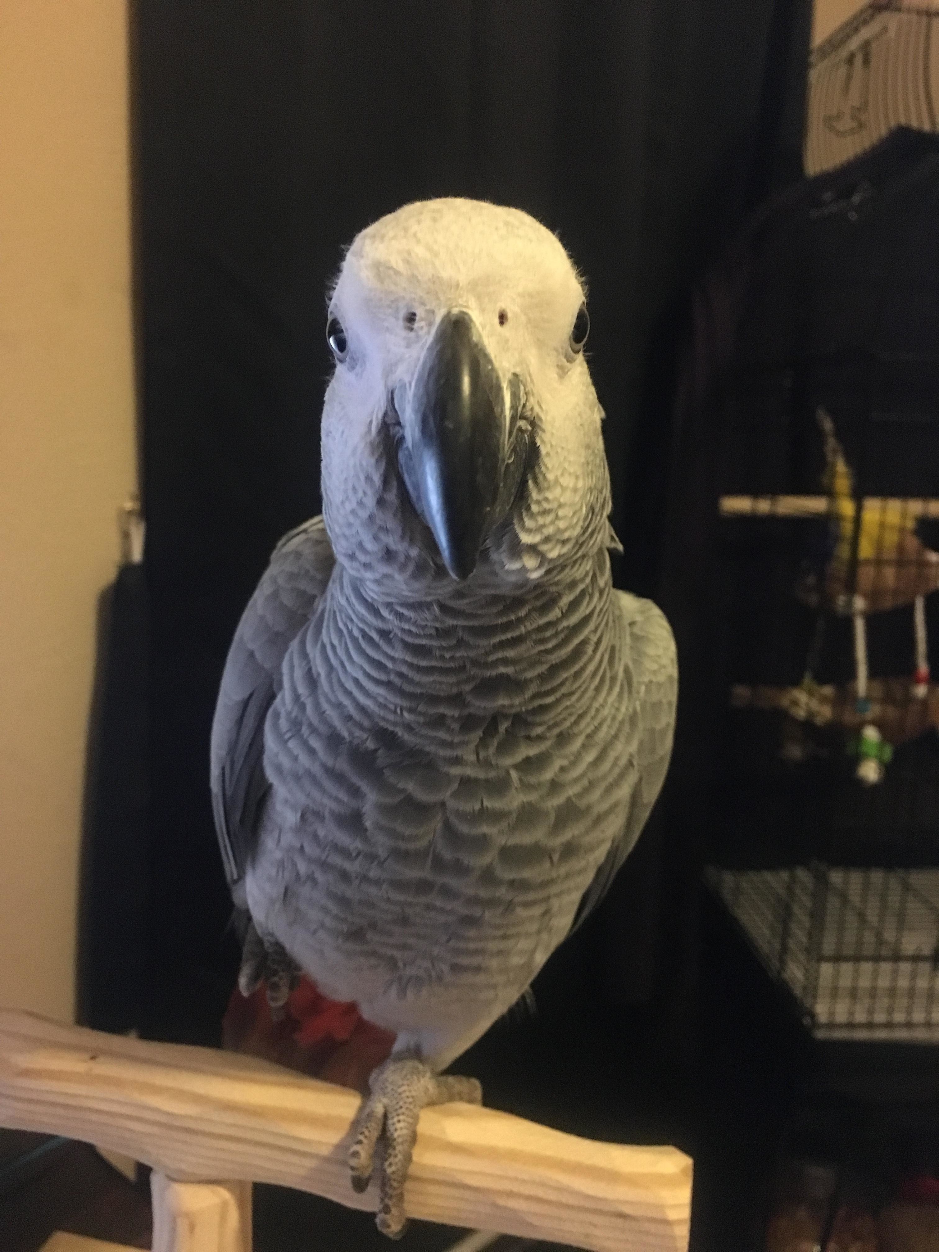Nice Girl In Front Of Her Mirror