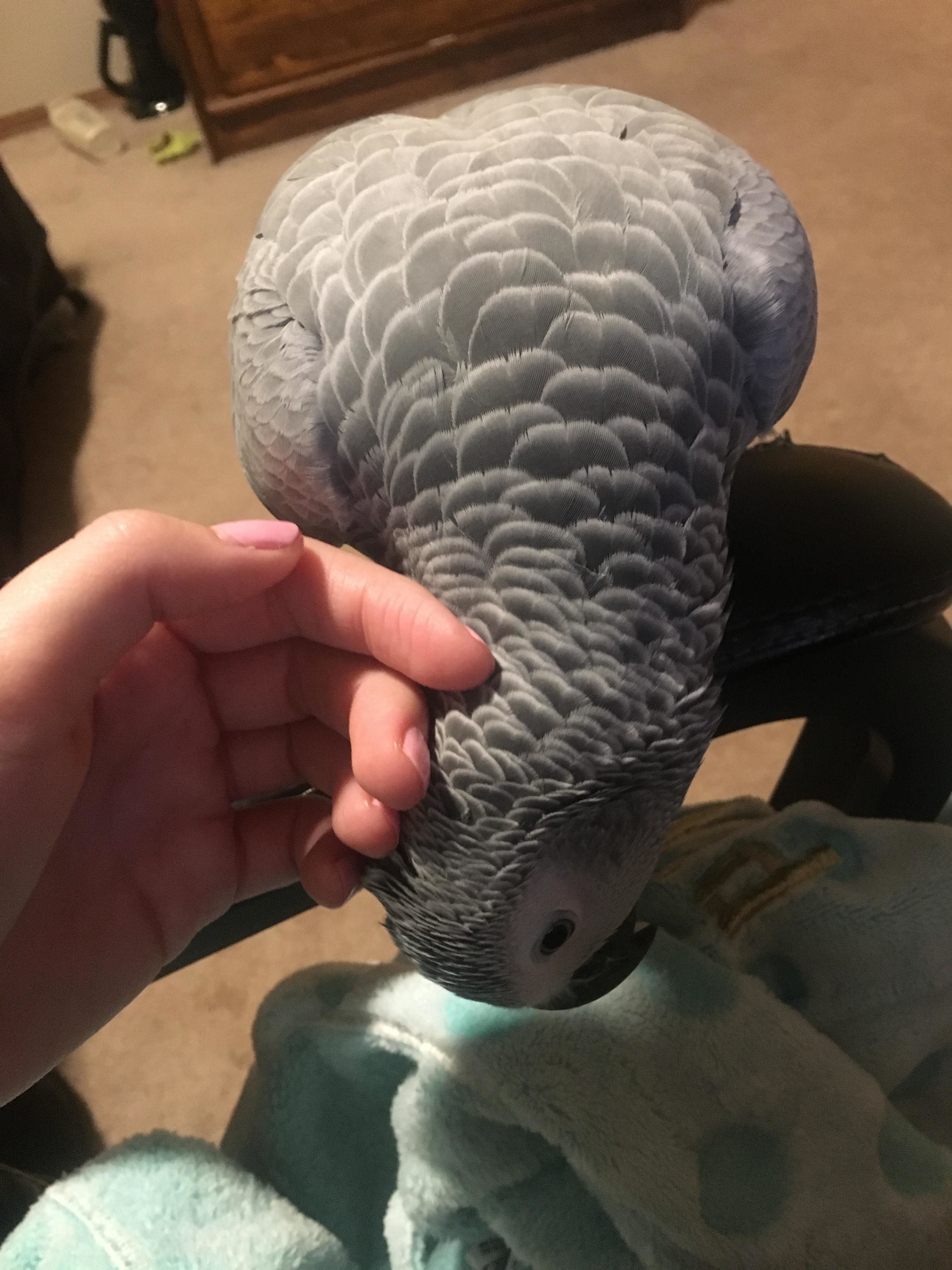 Nice Girl In Front Of Her Mirror