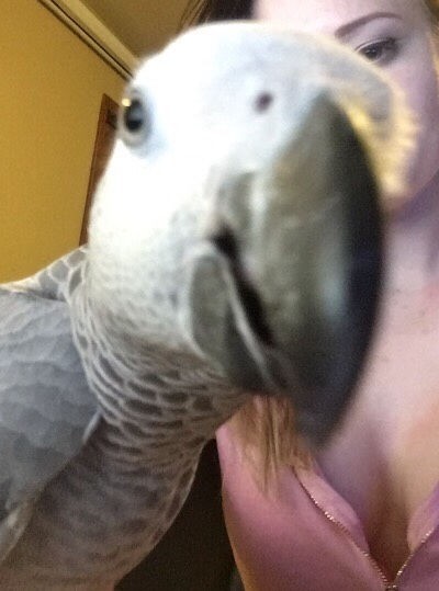 Nice Girl In Front Of Her Mirror