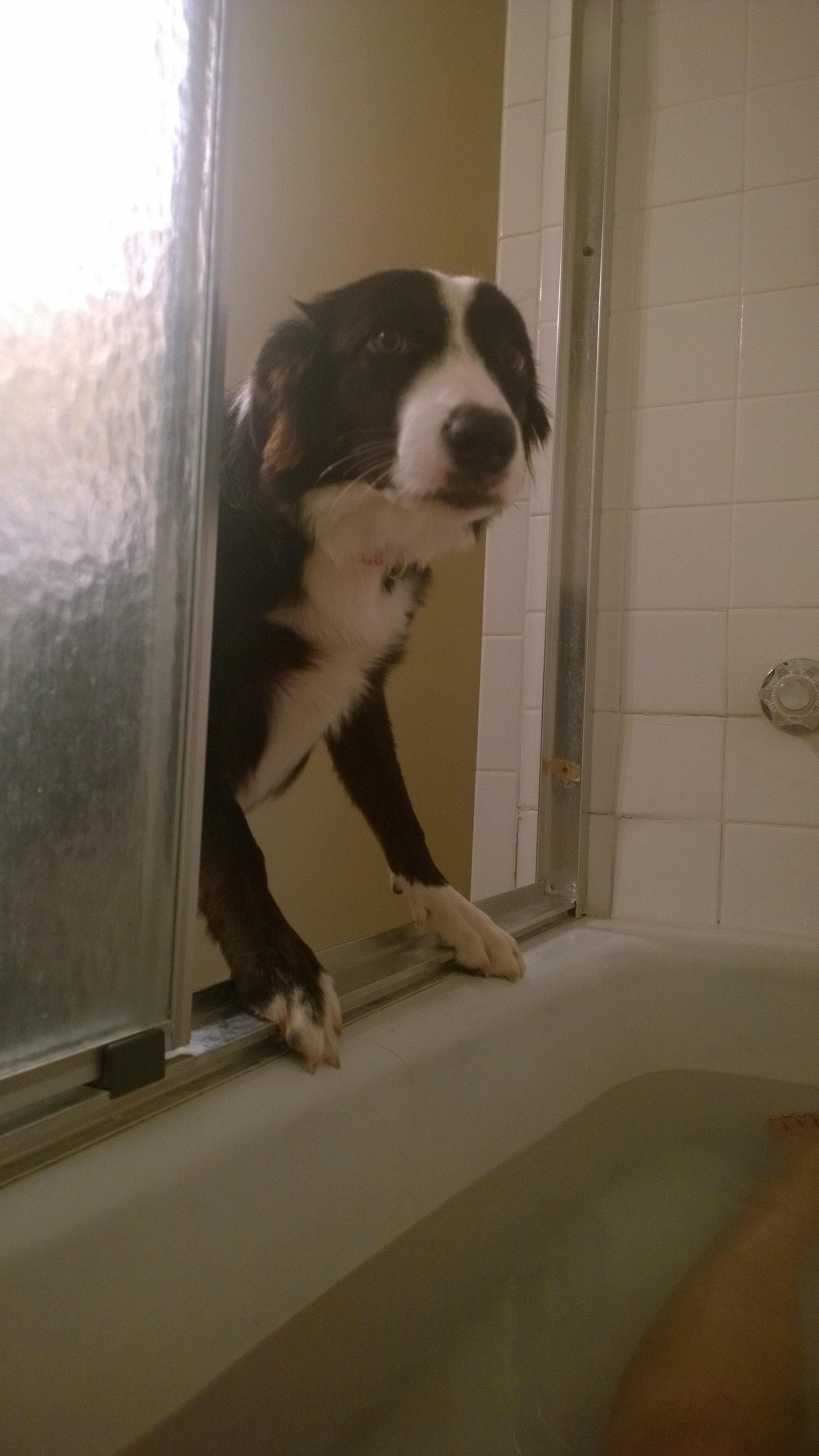 Scale10Crazy Blonde Selfies