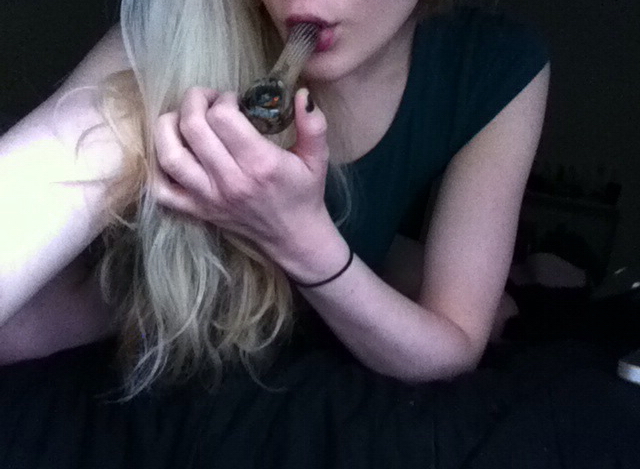 The Cats Meow Blonde