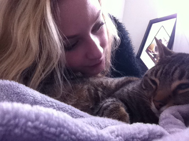 The Cats Meow Blonde