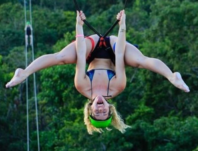 Grey Takes On The World