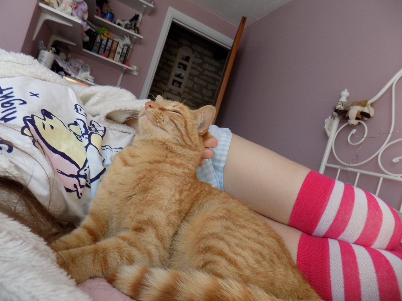 A Tad Bit Unconventional