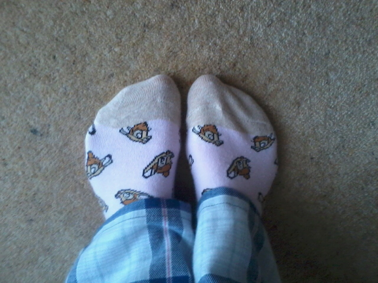 A Tad Bit Unconventional