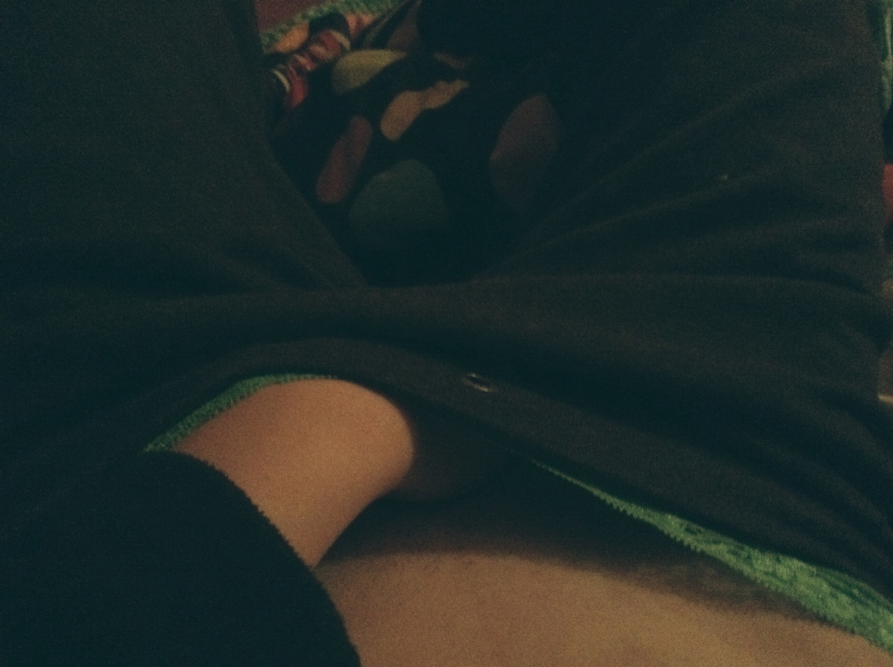 Squirrel Model Revenge