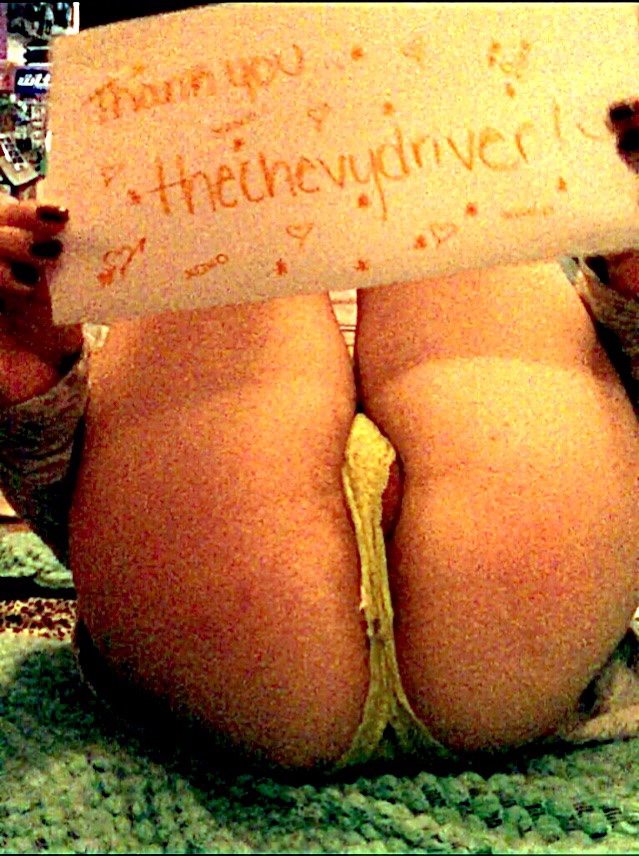 Squirrel Model Revenge