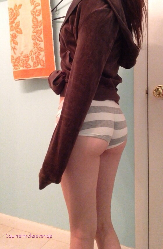 Squirrel Model Revenge