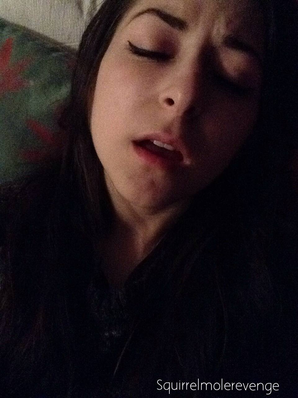 Squirrel Model Revenge