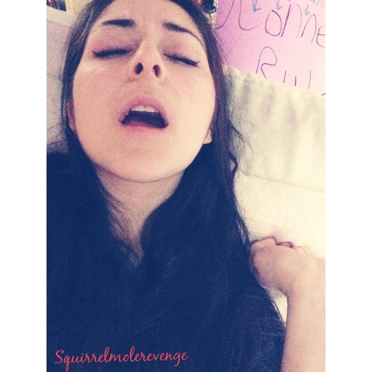 Squirrel Model Revenge