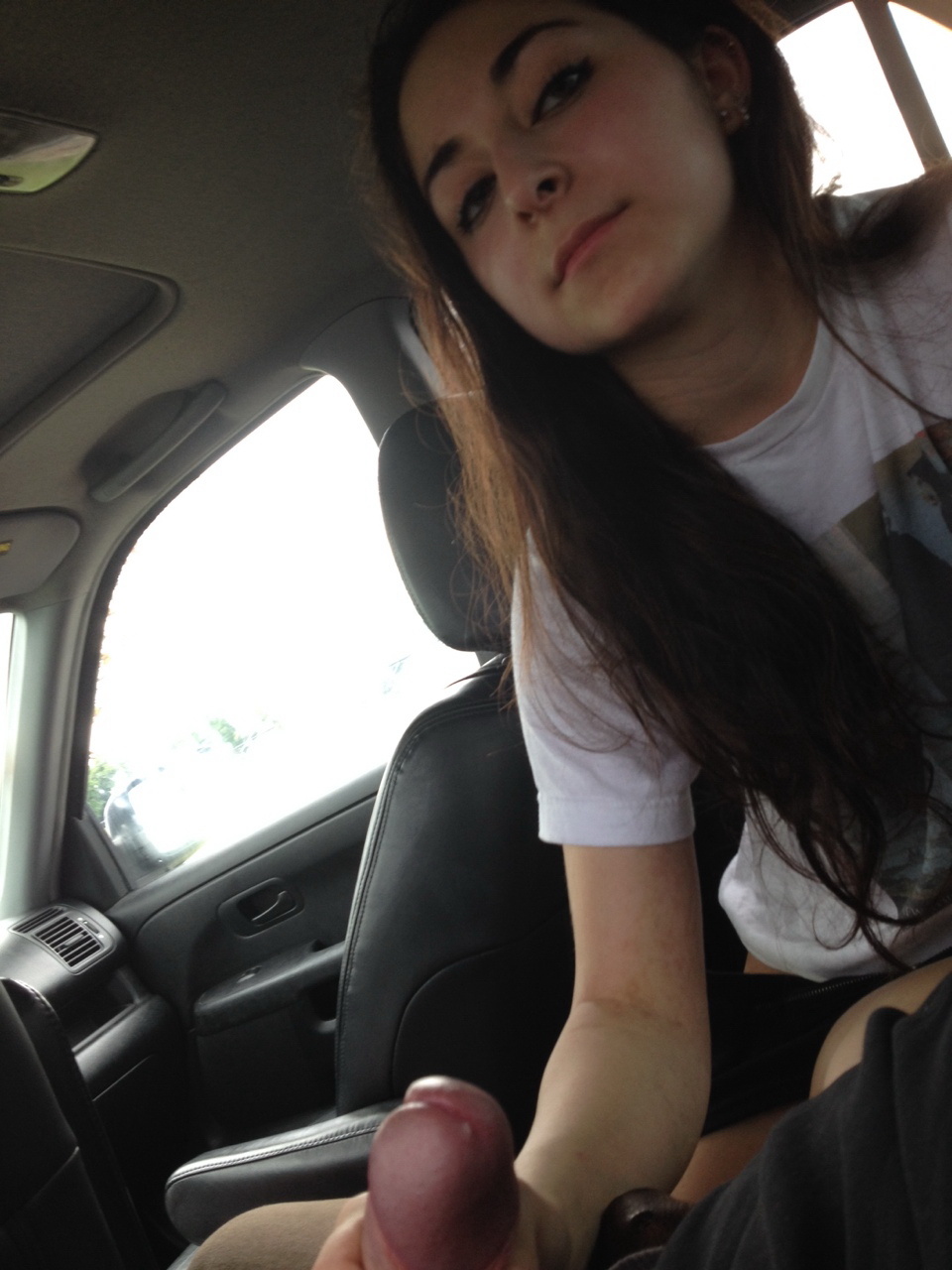 Squirrel Model Revenge