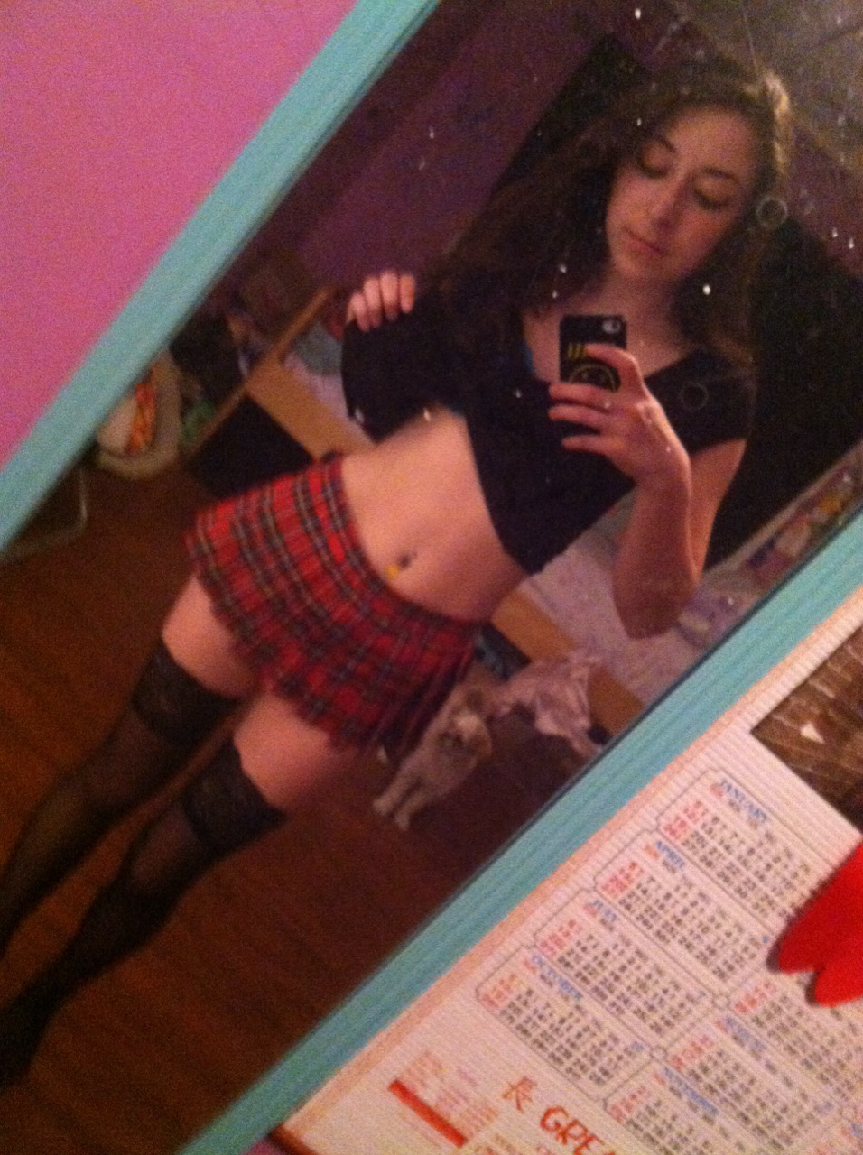 Squirrel Model Revenge