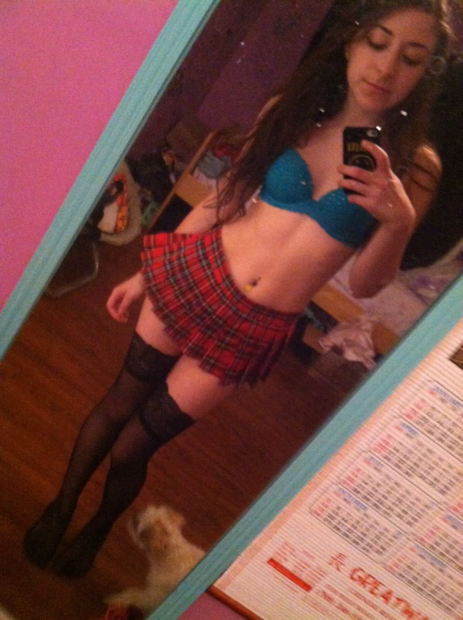 Squirrel Model Revenge