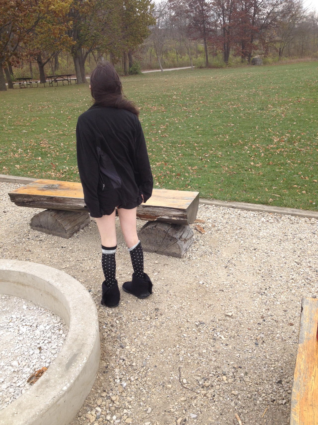 Squirrel Model Revenge