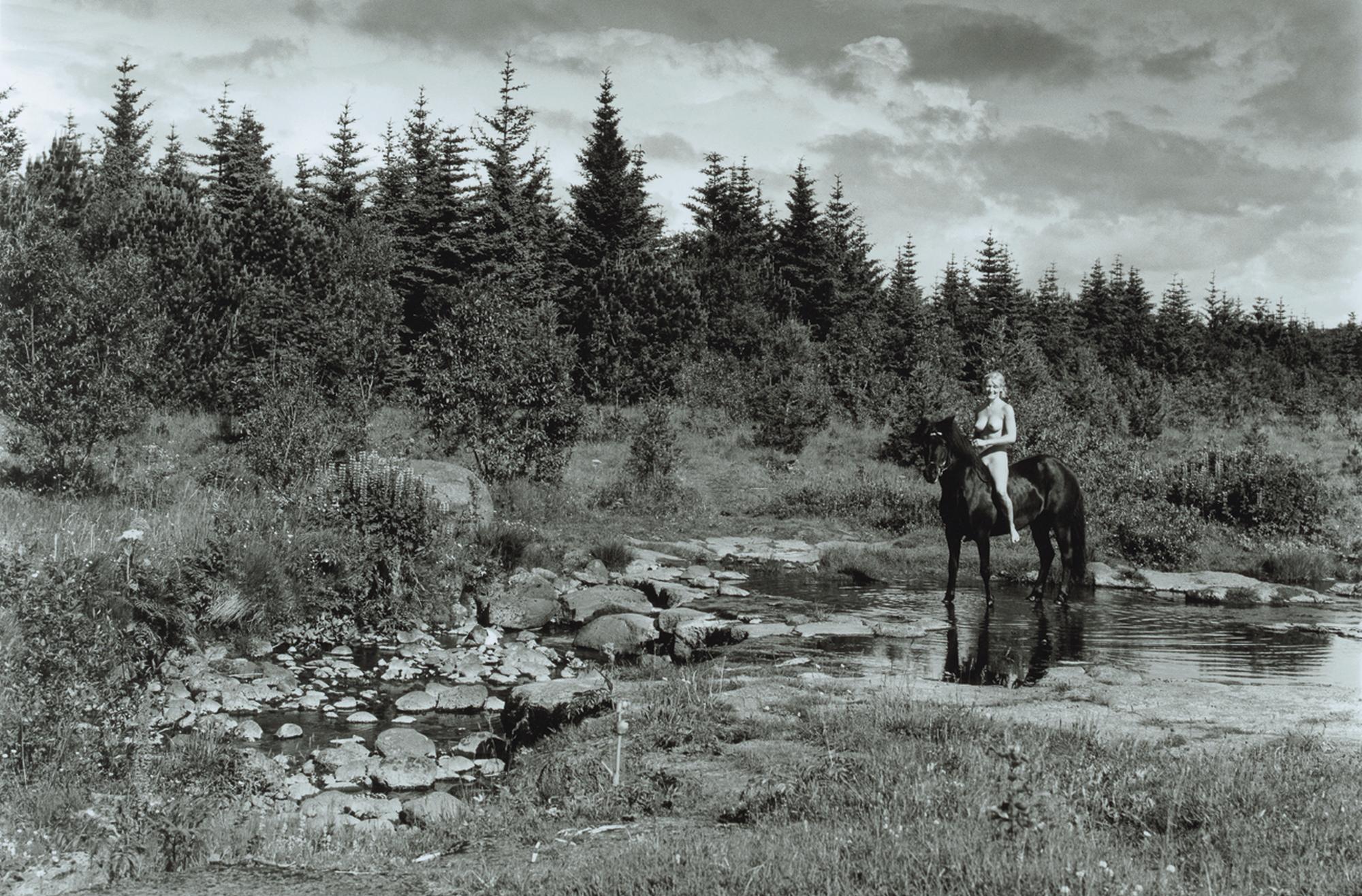 Belongs In An Art Gallery