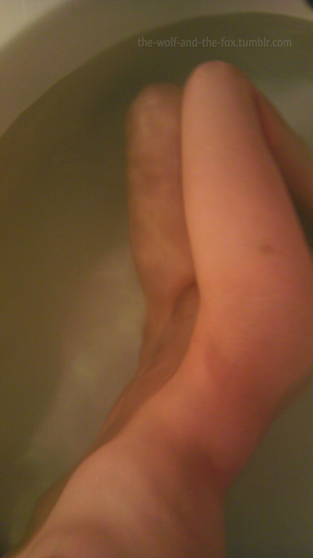 The Wolf and The Fox