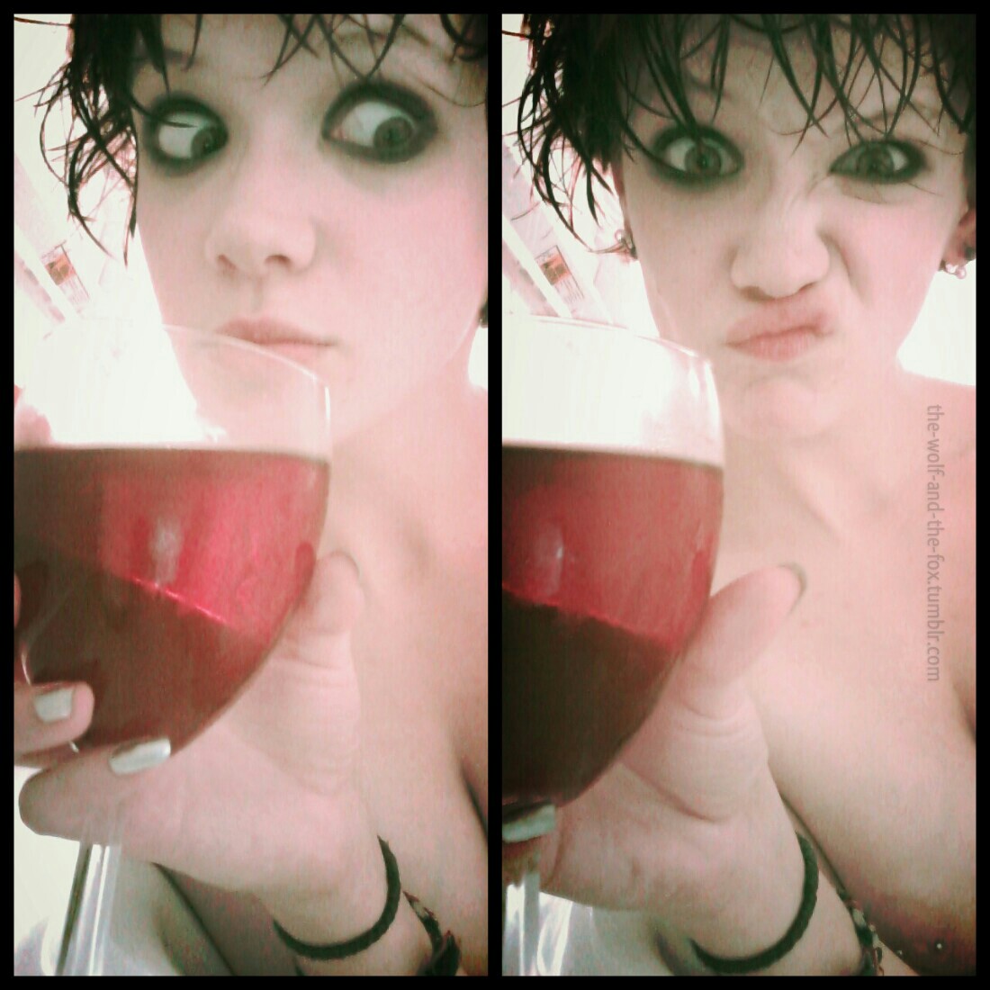 The Wolf and The Fox