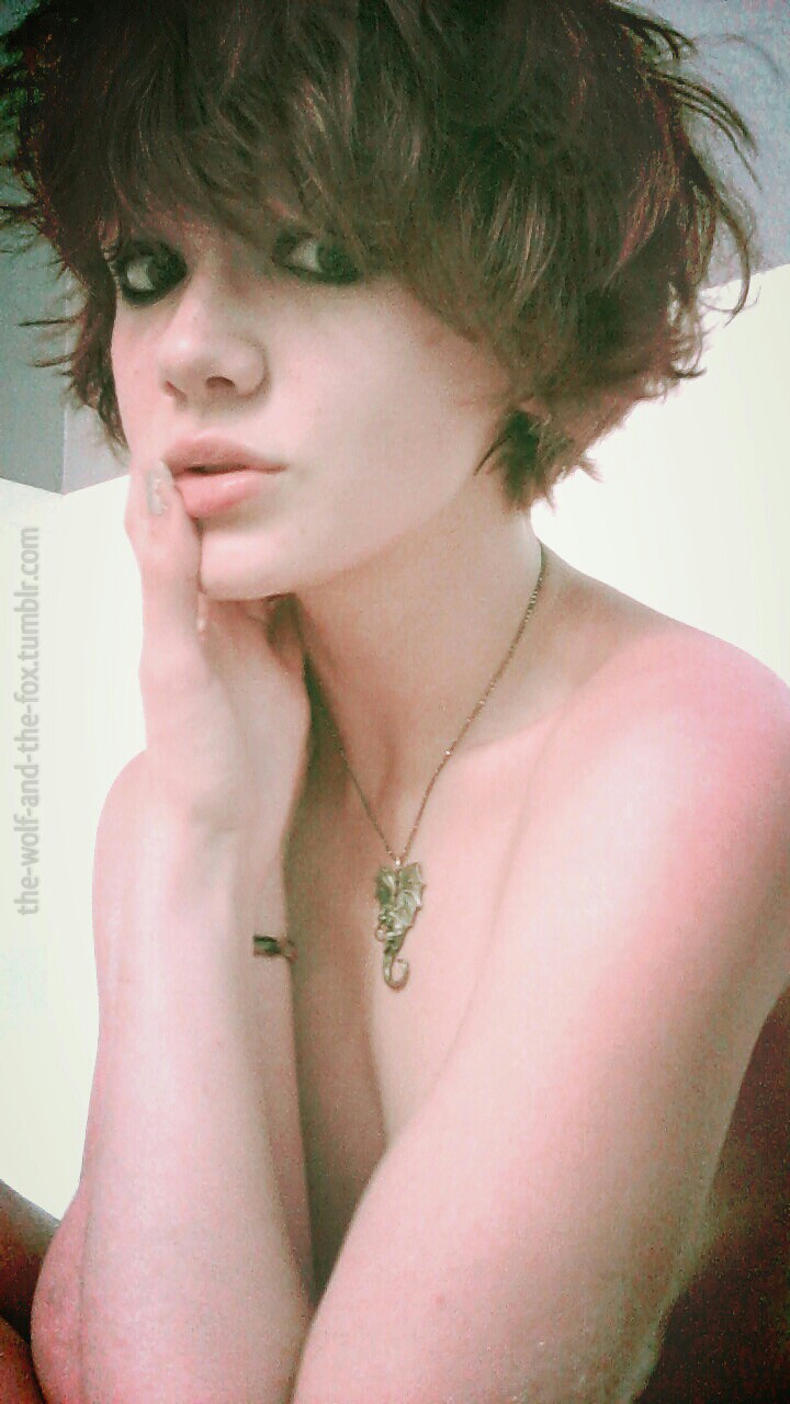 The Wolf and The Fox