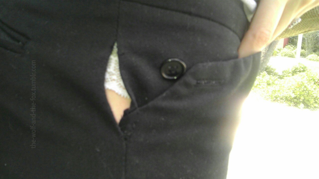 The Wolf and The Fox