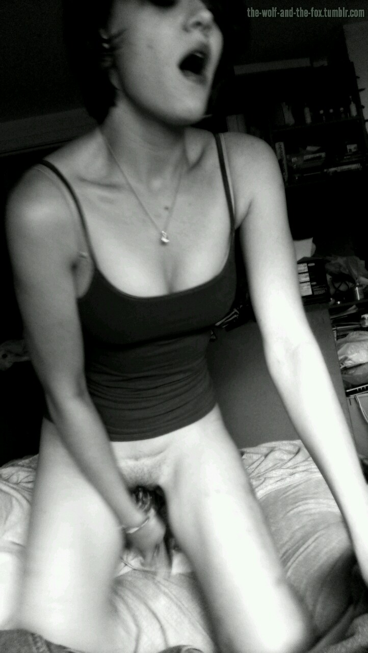 The Wolf and The Fox