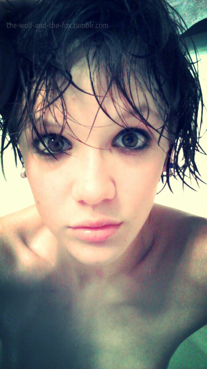 The Wolf and The Fox