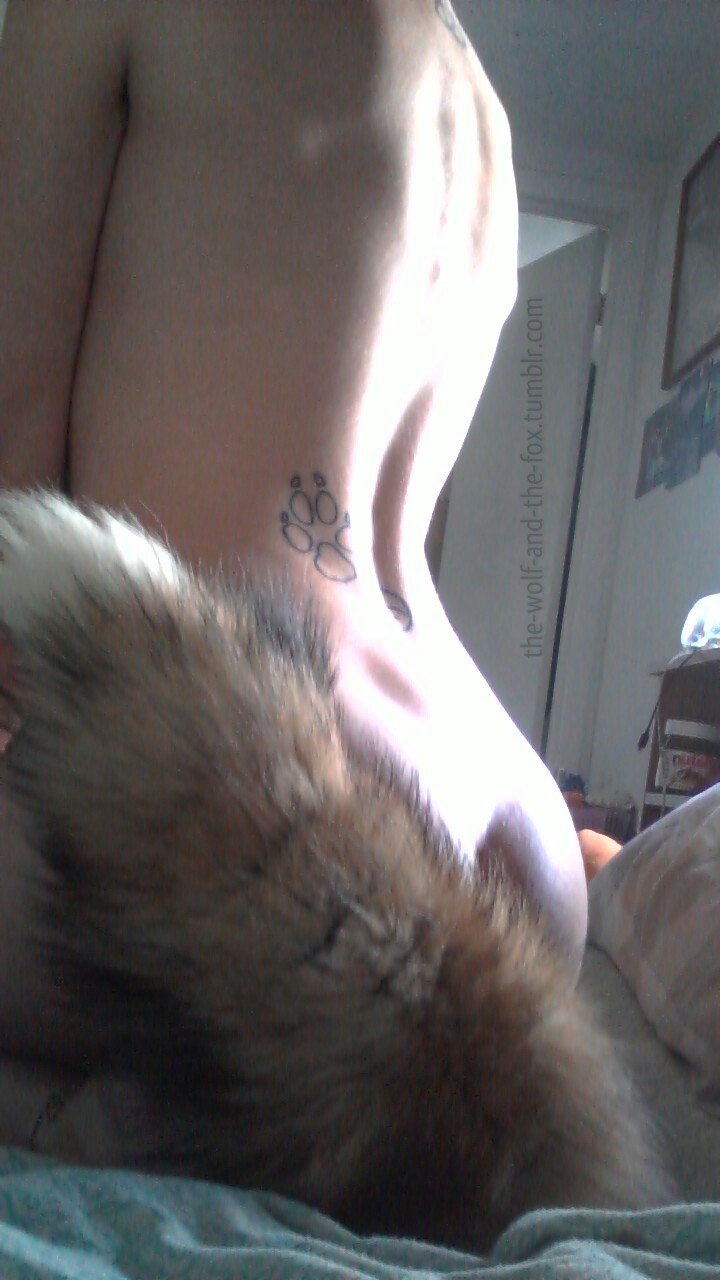 The Wolf and The Fox