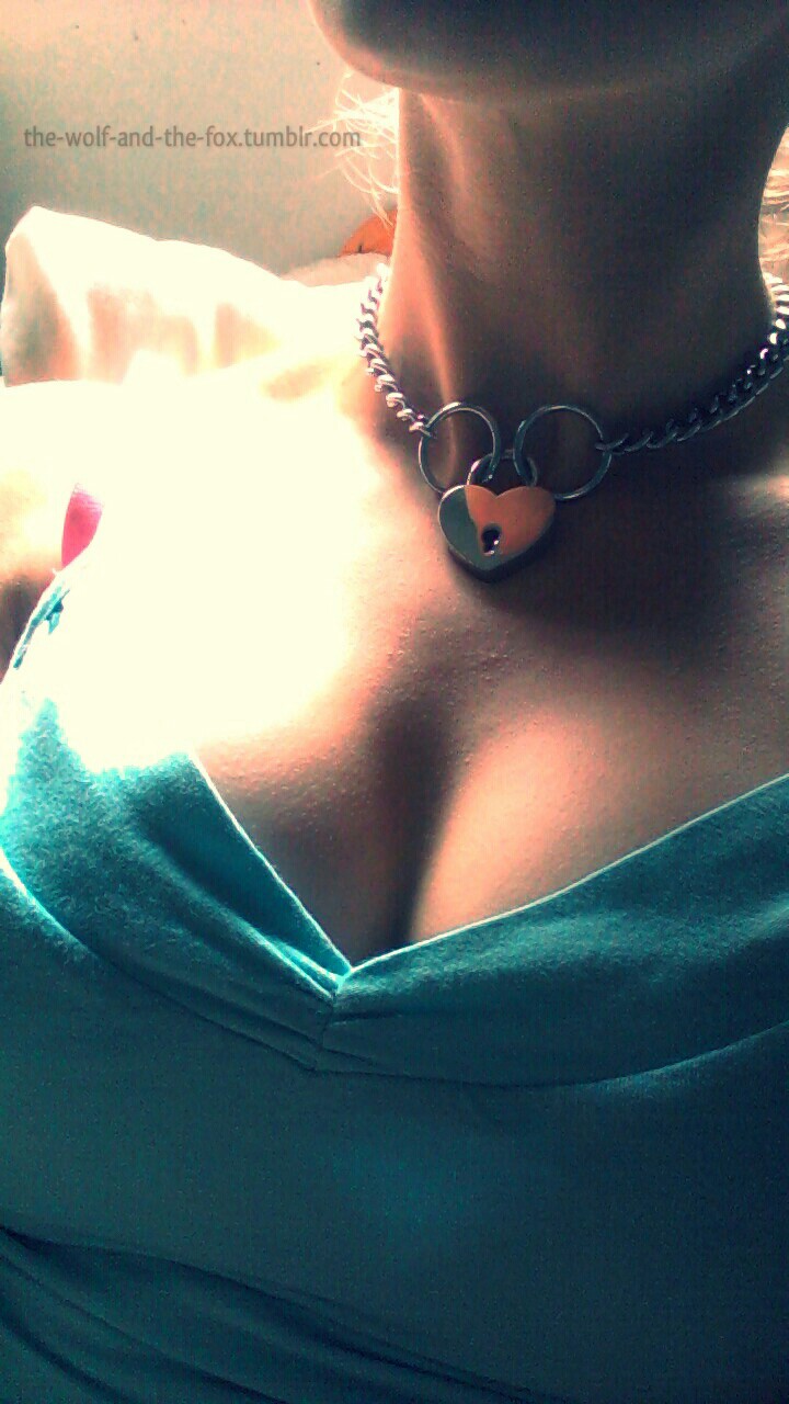 The Wolf and The Fox