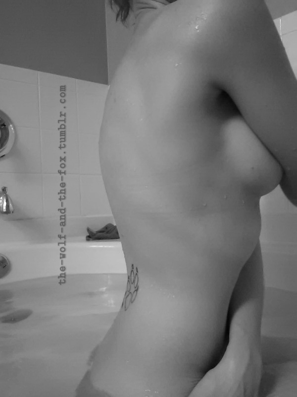 The Wolf and The Fox