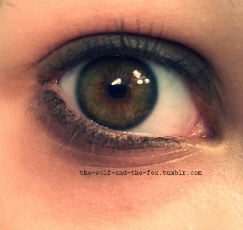 The Wolf and The Fox