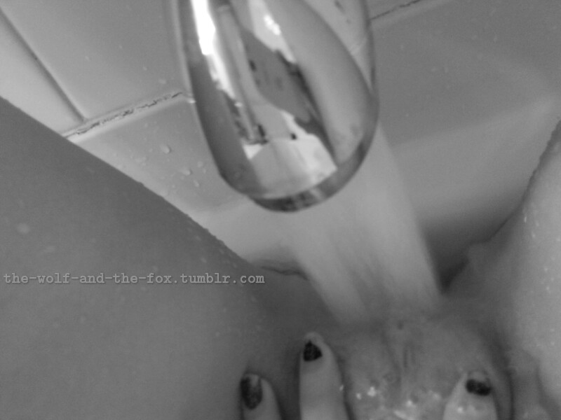 The Wolf and The Fox