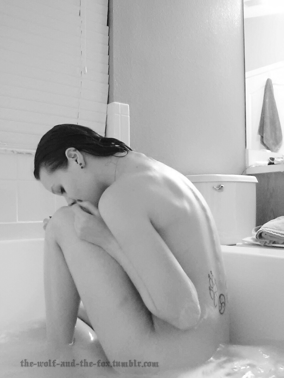 The Wolf and The Fox