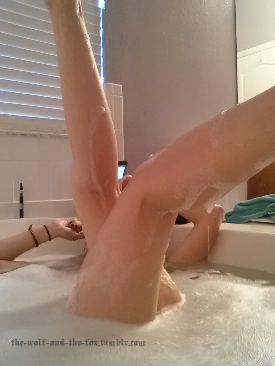 The Wolf and The Fox