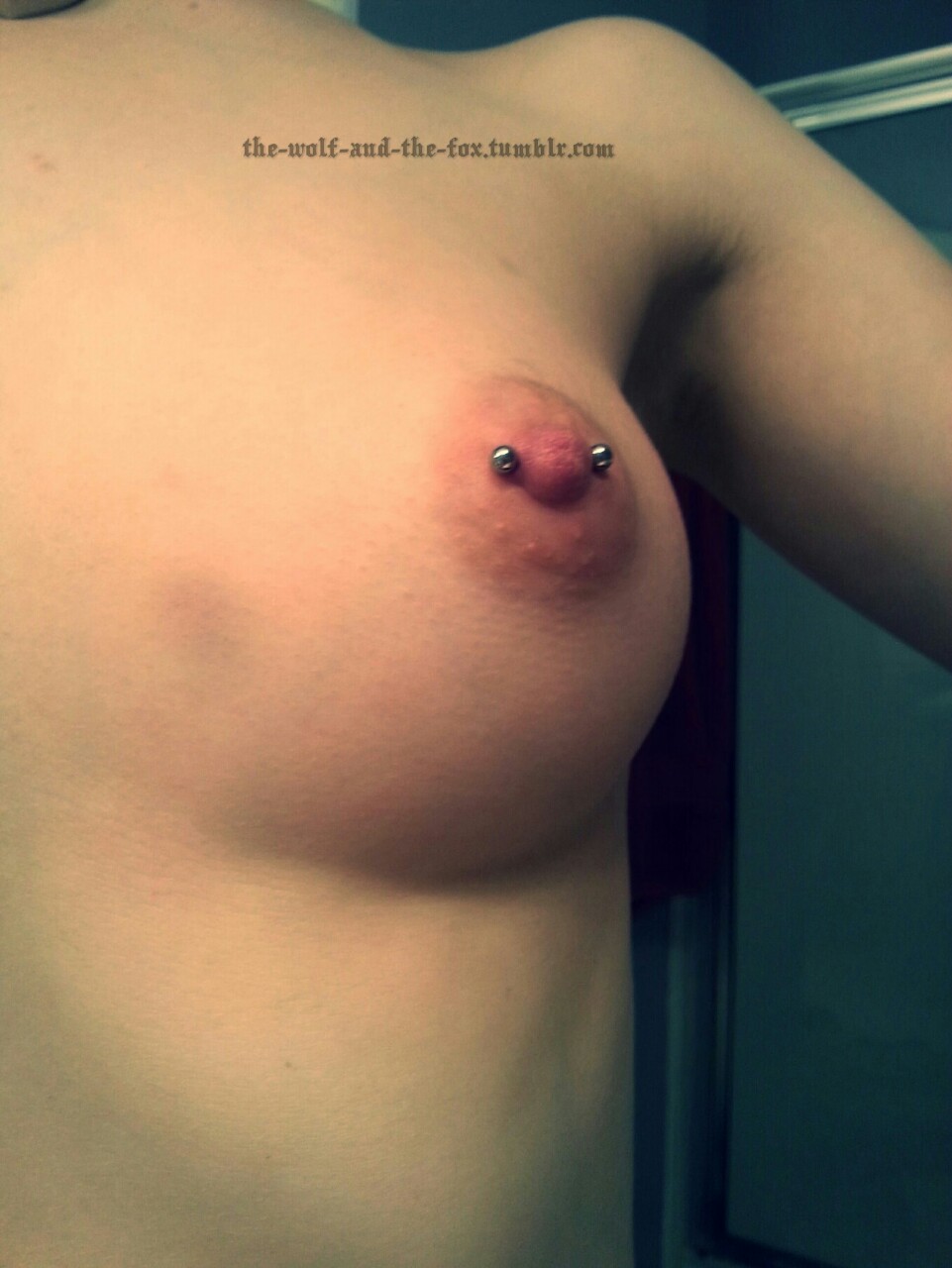 The Wolf and The Fox