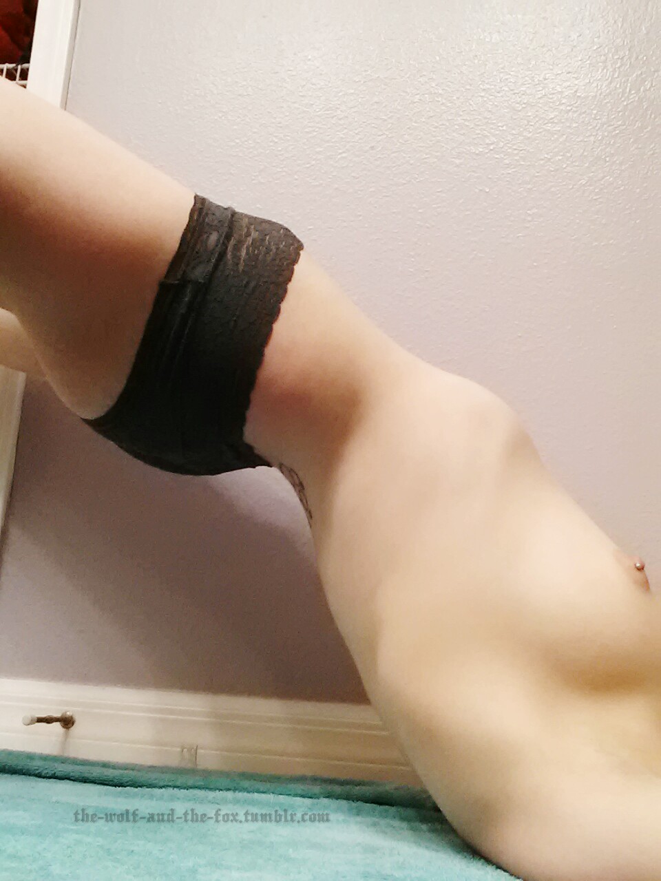 The Wolf and The Fox