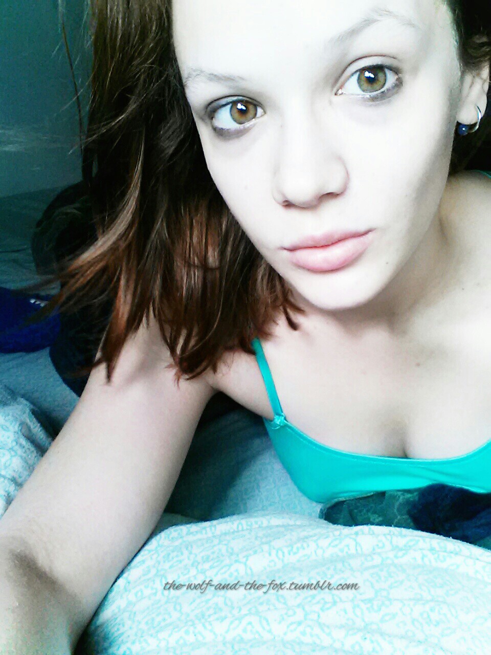 The Wolf and The Fox