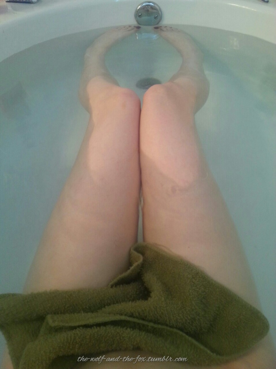 The Wolf and The Fox