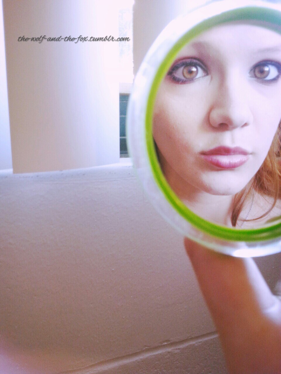 The Wolf and The Fox