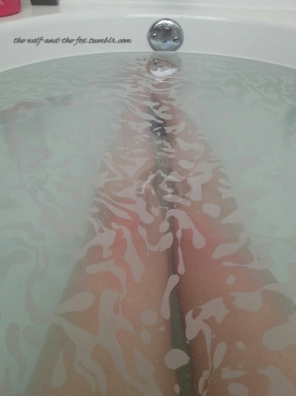 The Wolf and The Fox