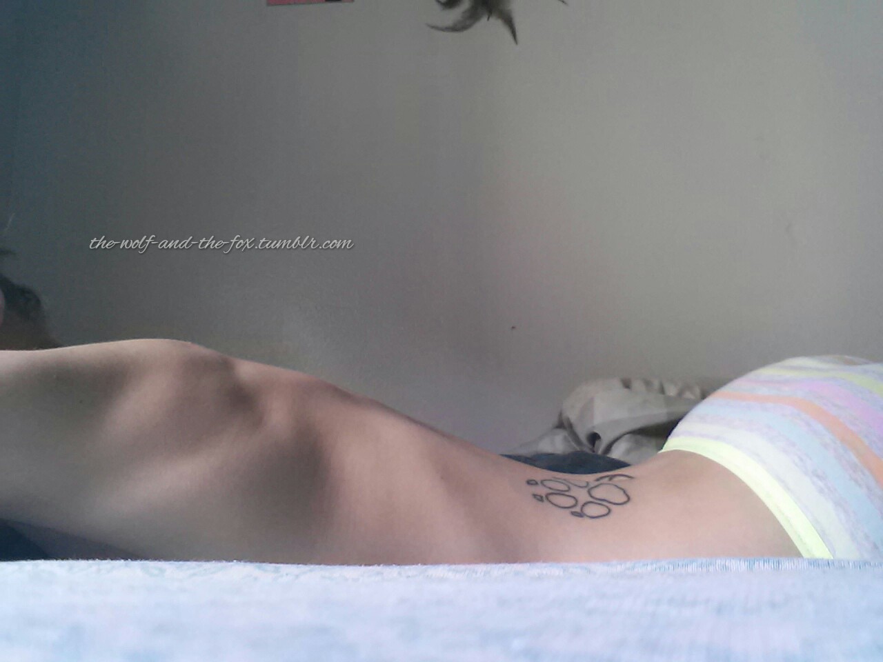 The Wolf and The Fox