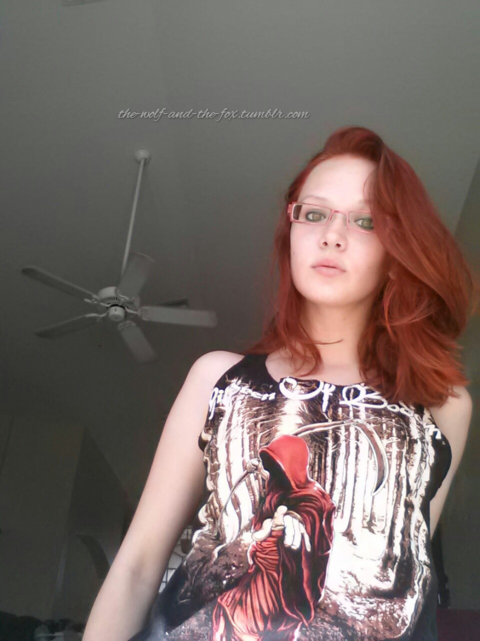 The Wolf and The Fox