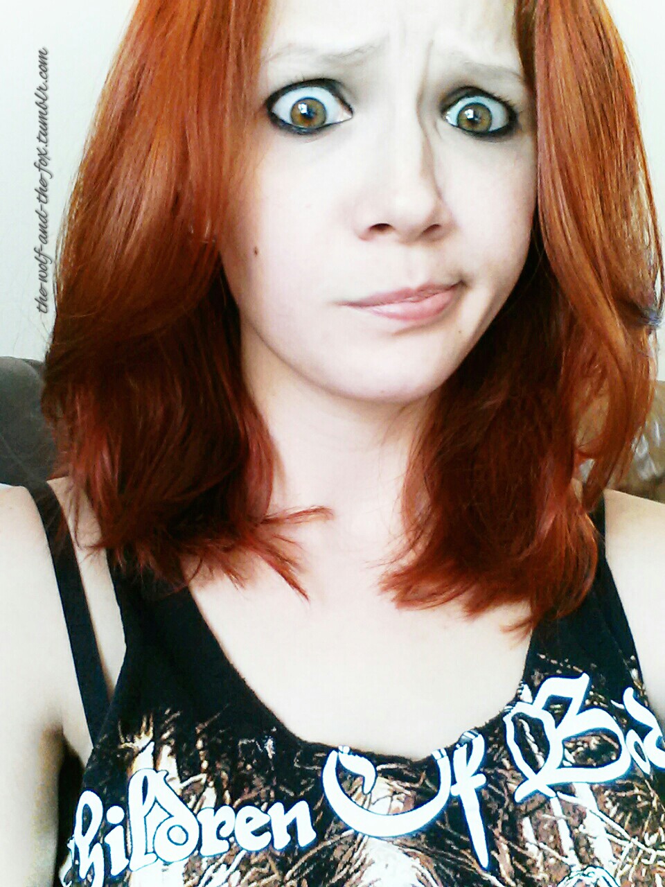 The Wolf and The Fox