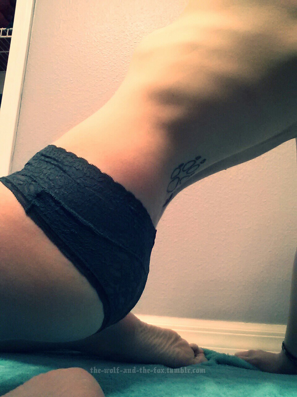 The Wolf and The Fox